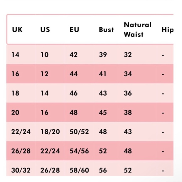 Lady Voluptuous 14 US / 18 UK Estrella Vintage Inspired Red Floral Dress - Picture 14 of 14